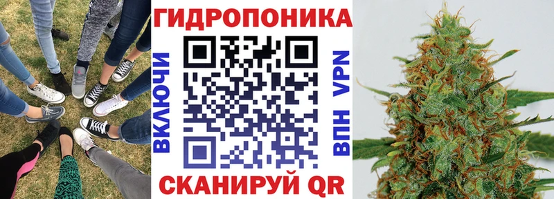 Конопля гибрид  KRAKEN tor  Губаха 